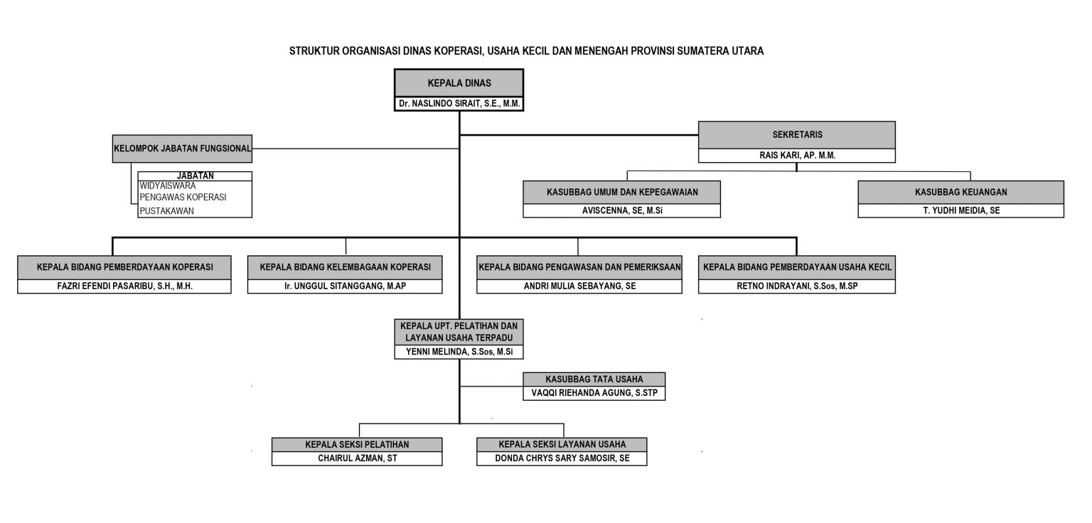 Struktur Organisasi Dinas Koperasi Usaha Kecil Dan Menengah Provinsi